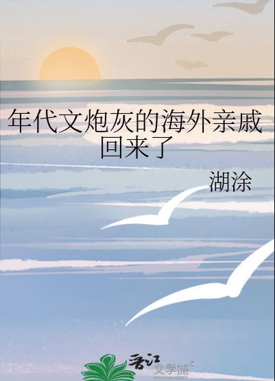 年代文炮灰的海外亲戚回来了苏寻