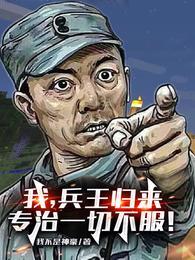 網絡兵王歸來