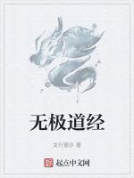 无极是道吗