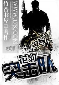 花豹突擊隊萬林全文免費閱讀品書網