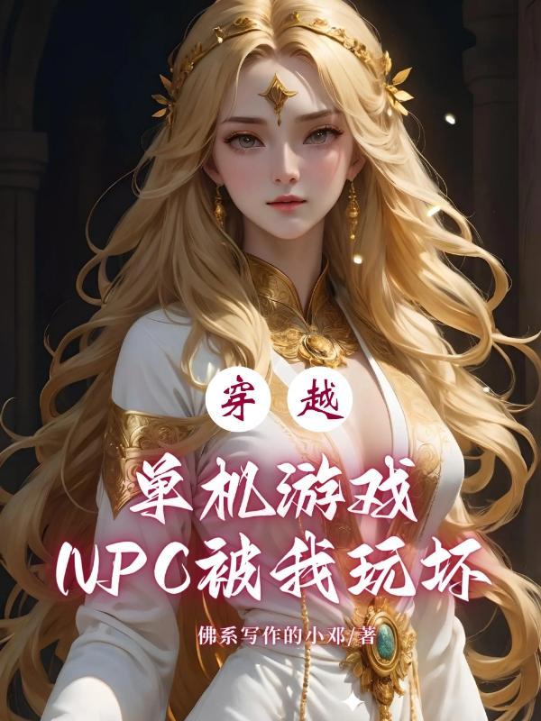 穿越遊戲npc的