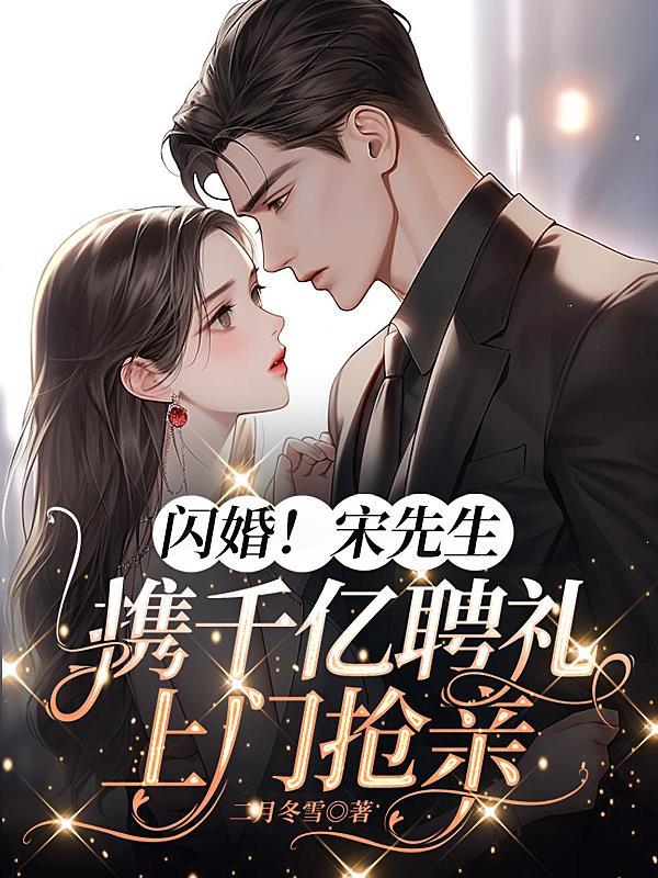 闪婚总裁宋云卿