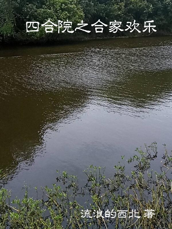 四合院之合家歡樂最