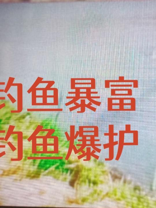 钓鱼爆护视频