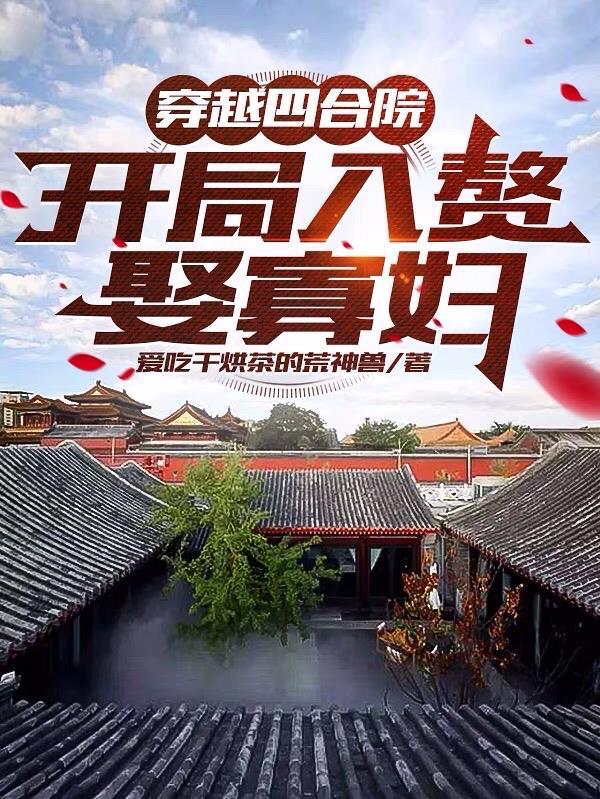 穿越四合院，開局入贅娶寡婦